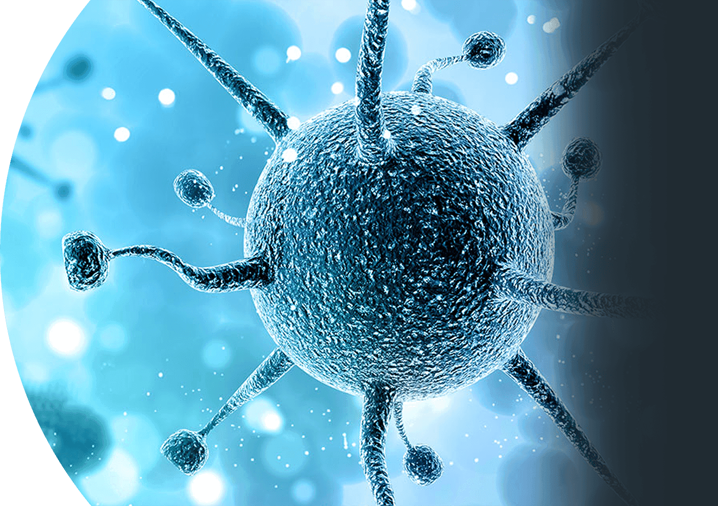 A pipeline full of preventative cures