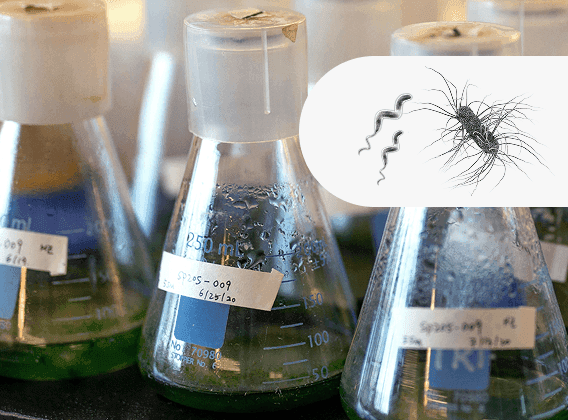 How we innovate image