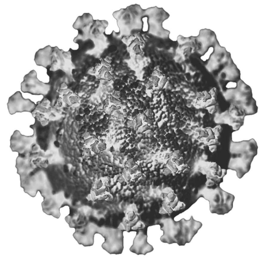 Influenza & Covid-19