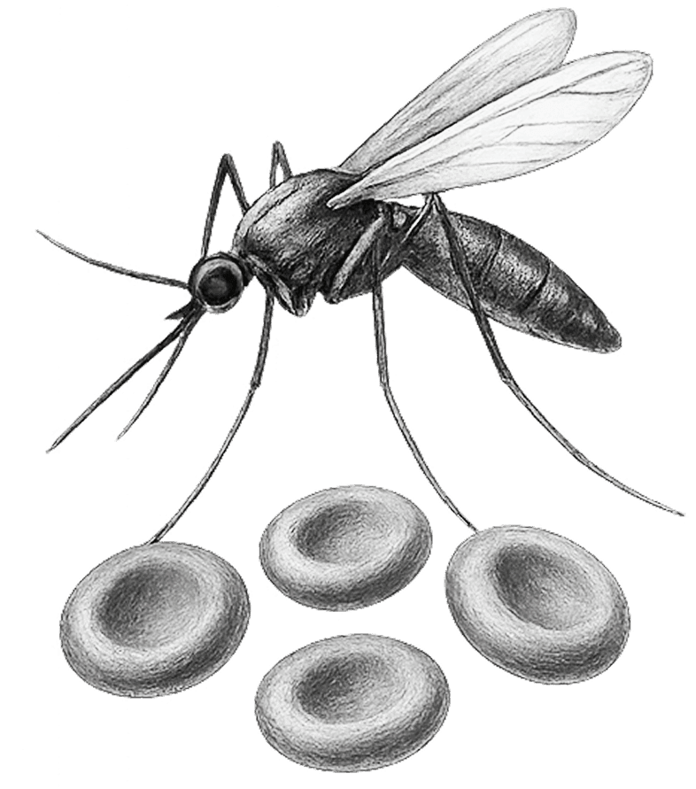 Malaria