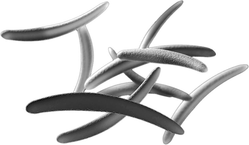 Our patented technology